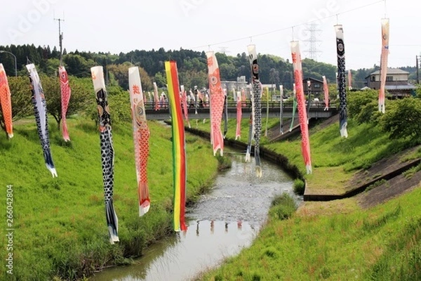 Fototapeta 市原市瀬又地区村田川のこいのぼり