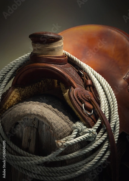 Obraz Western Saddle