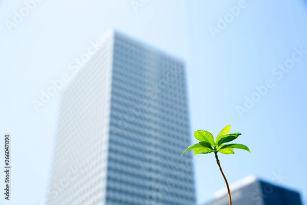 Fototapeta 新芽とビルの躍進イメージ