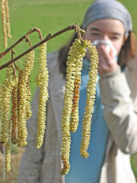 Obraz pollenallergie