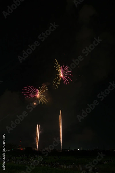 Fototapeta 夏の花火 富山市神通川花火大会