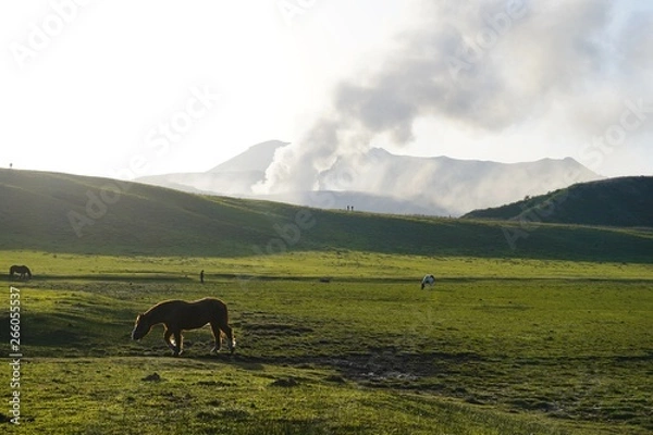 Obraz 煙を吐く阿蘇火山の風景