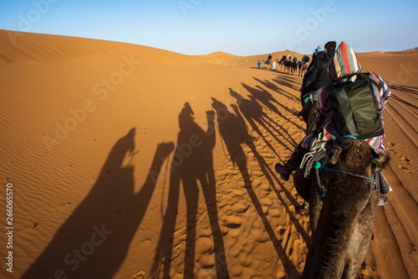 Fototapeta Camels caravan in the dessert of Sahara with beautiful dunes in background. Morocco