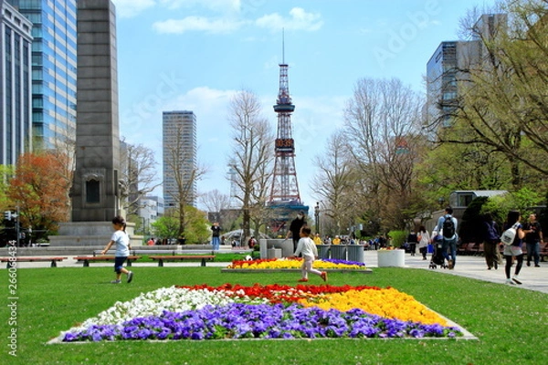 Fototapeta 札幌テレビ塔と大通公園の春の風景