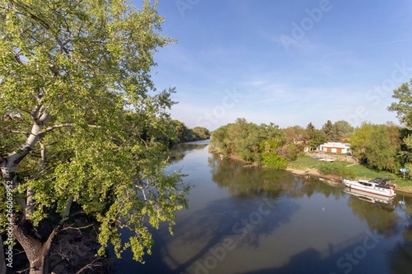Fototapeta River Bodrog
