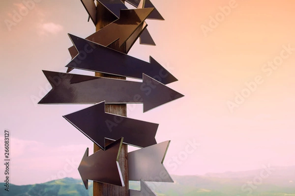 Obraz Wskaźniki wskazują różne kierunki. Pojęcie wyboru