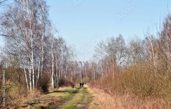 Obraz wiosenny spacer