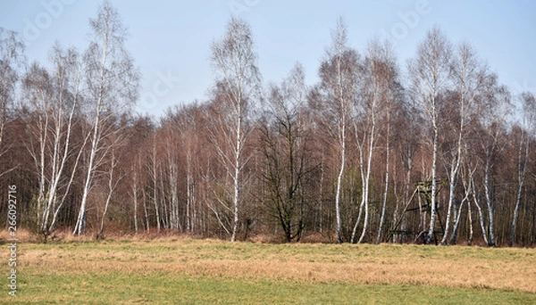 Obraz Wiosenny pejzaż
