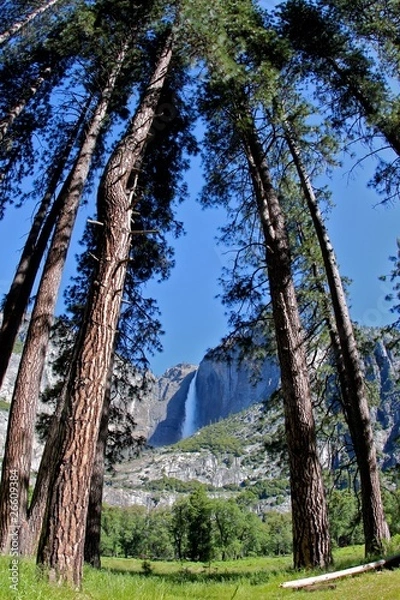 Fototapeta Yosemite Falls