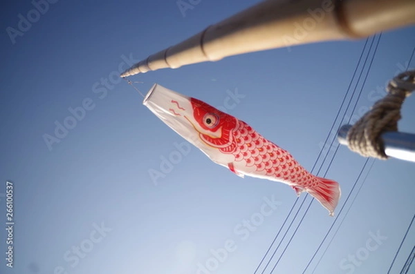 Obraz 鯉のぼり