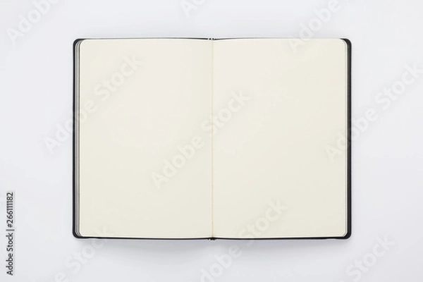 Obraz notebook at white background