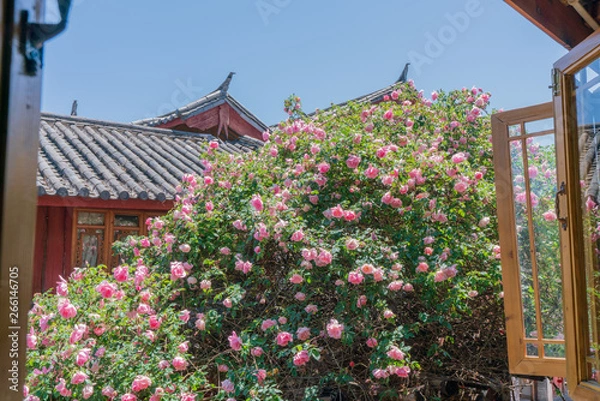 Fototapeta 麗江古城