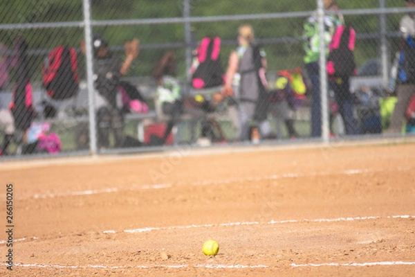 Obraz Softball with team in background