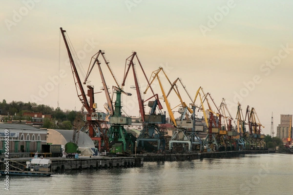 Fototapeta river port and many cargo cranes