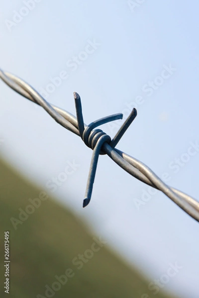 Fototapeta Stacheldraht