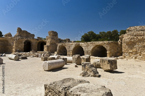 Obraz Ruins of Carthage