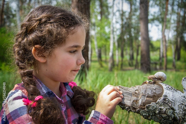 Fototapeta In the summer in the woods a little girl examines a snail.