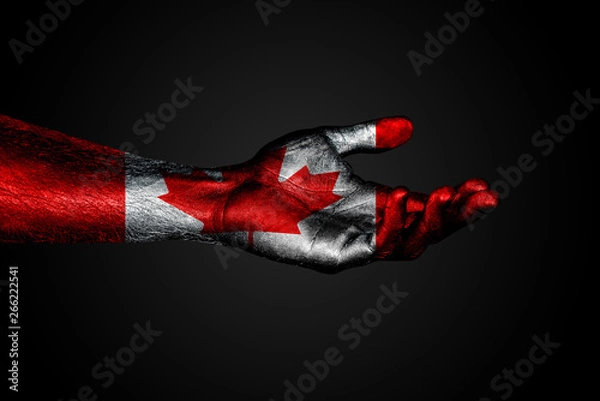 Fototapeta Outstretched hand with a drawn Canada flag, a sign of help or a request, on a dark background.