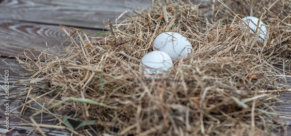 Fototapeta White eggs lays in the dry hay on the wooden aged board