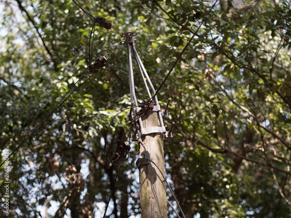 Fototapeta 古びた街灯