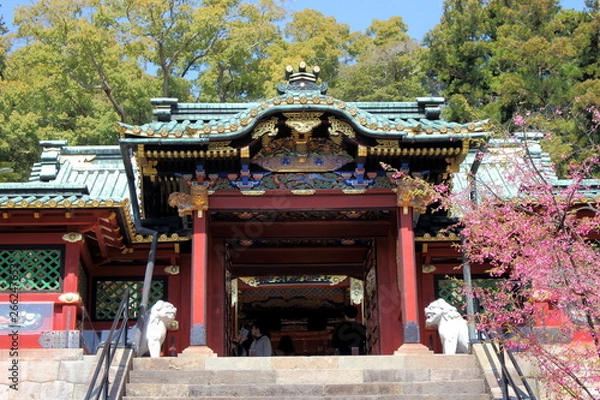 Obraz 久能山東照宮 唐門