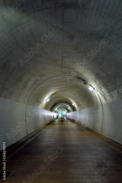 Fototapeta トンネル