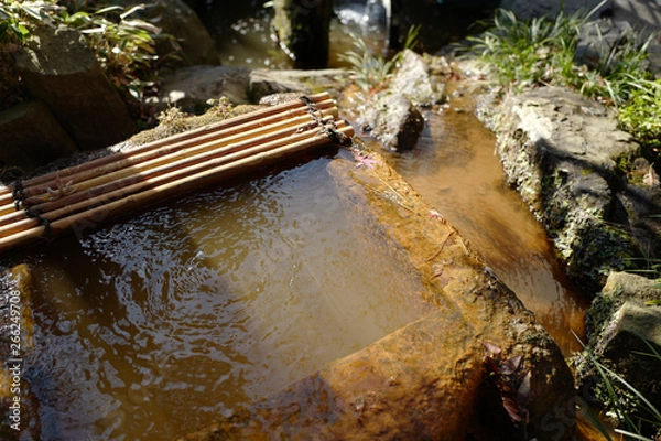 Obraz 秋の深大寺