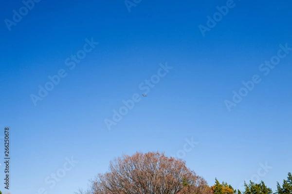 Obraz 空とプロペラ機