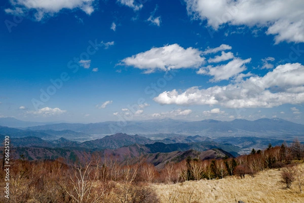 Obraz 春の美ヶ原高原