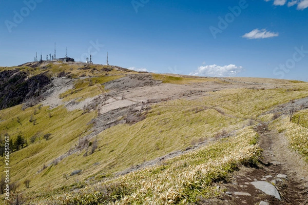 Obraz 春の美ヶ原高原