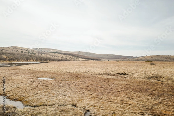 Obraz 春の八島ヶ原湿原