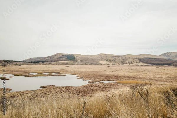 Obraz 春の八島ヶ原湿原