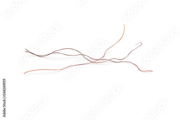 Fototapeta Macro of red hair isolated on white background