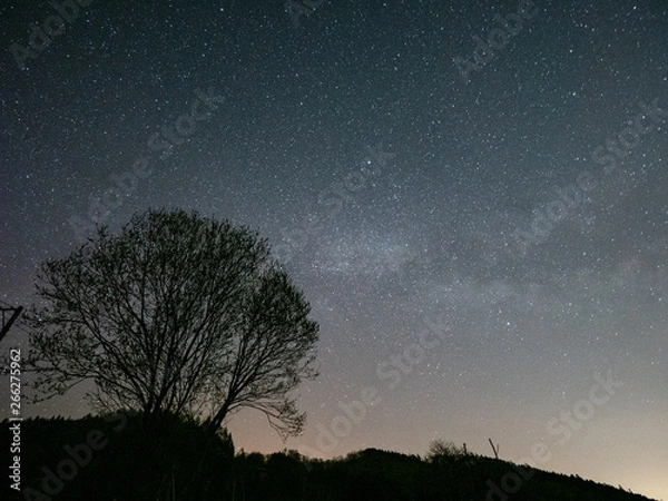 Fototapeta 星空 テント 天の川