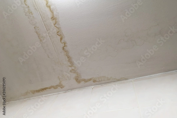 Fototapeta Rainwater leaks from the roof cause damage to the ceiling and tiles and gypsum board ,empty space for text.