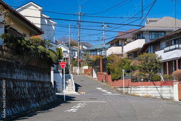 Fototapeta 多摩市 桜ケ丘（聖蹟桜ヶ丘） 住宅街