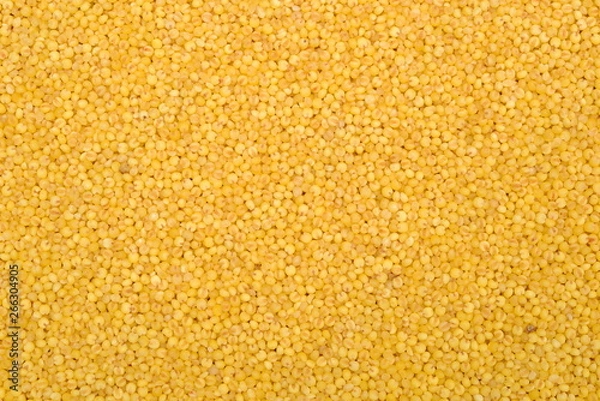 Obraz Millet yellow background