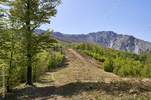 Fototapeta Alpine landscape in the spring