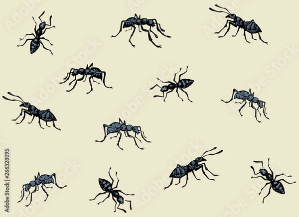 Obraz Ant. Vector drawing