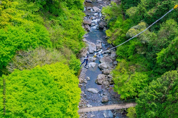 Fototapeta バンジージャンプ　静岡県富士市須津川渓谷