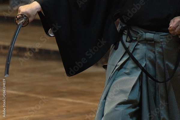 Fototapeta 居合道