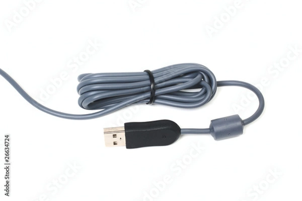 Obraz USB cable
