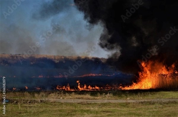Obraz fire in the steppe