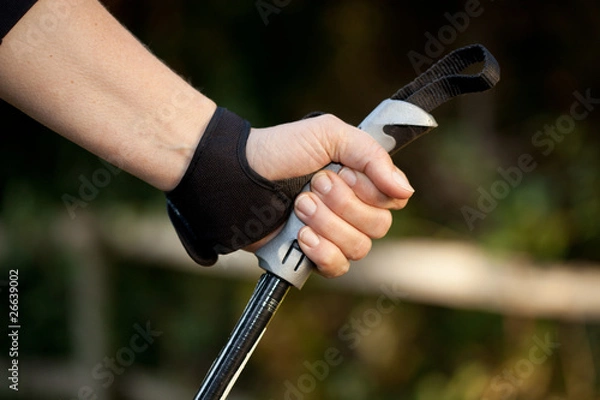 Obraz Hand mit Nordic Walking Stock