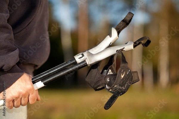 Obraz Hand mit Nordic Walking Stock