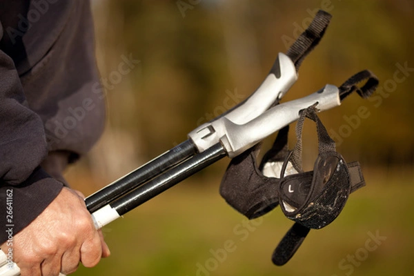 Obraz Hand mit Nordic Walking Stock