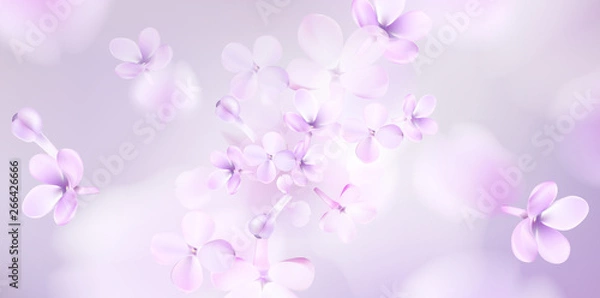 Fototapeta Floral spring background with purple lilac flowers