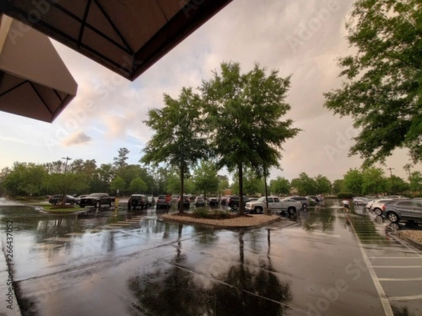 Obraz La lucha del clima