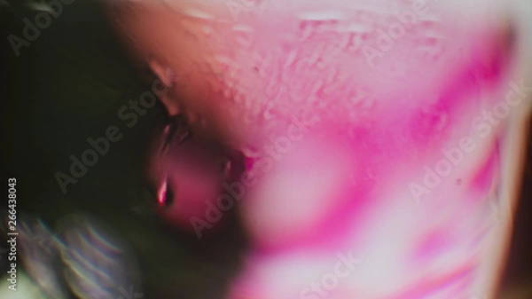 Obraz lluvia nevulosa