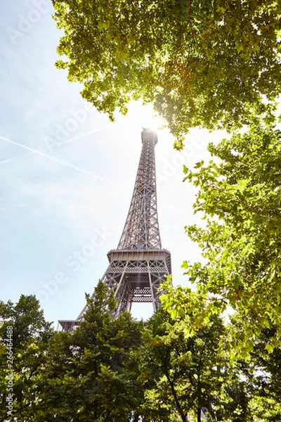 Fototapeta Eiffel Tower